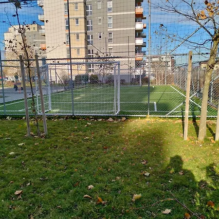 M&i Dream Брашов